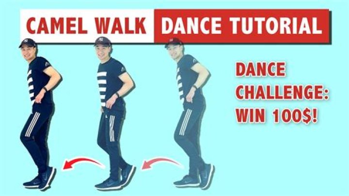 how do camels walk - Lisbd-net.com