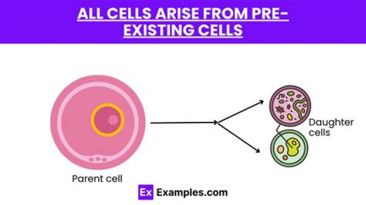 how do cells come from preexisting cells