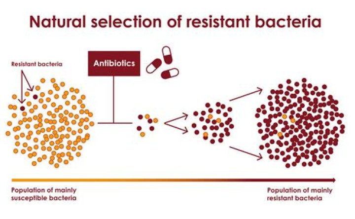 how do diseases affect natural selection