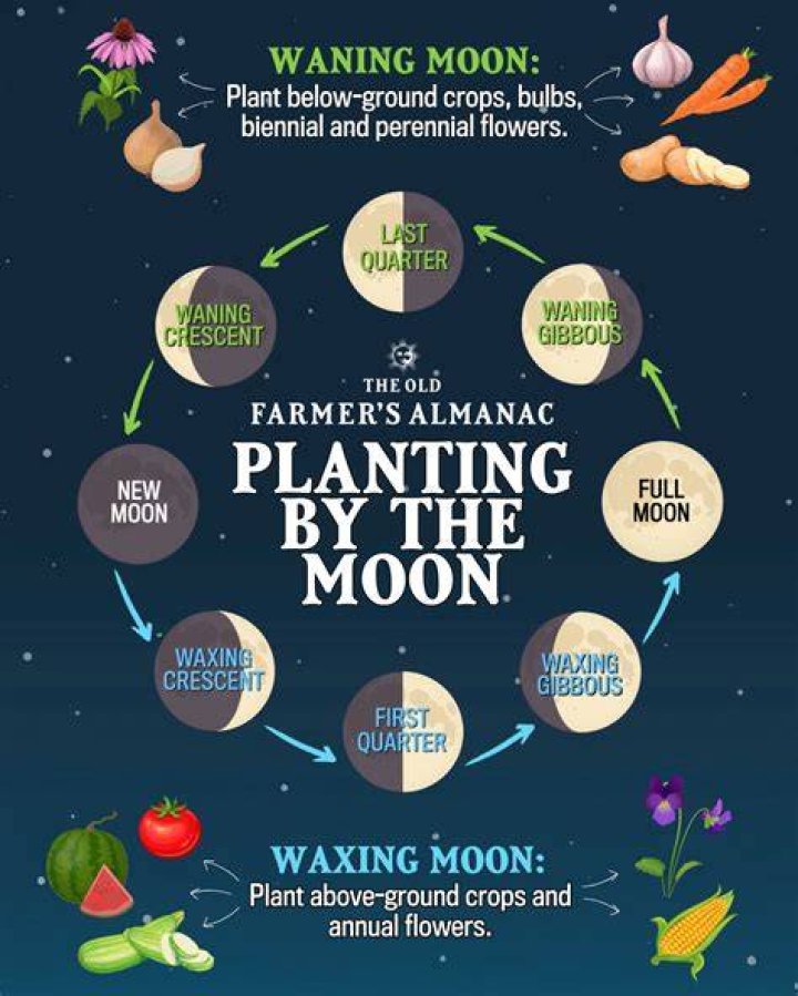 how do farmers plant seeds