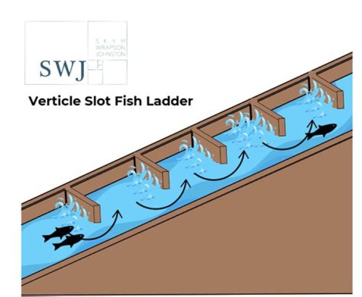 how do fish ladders work