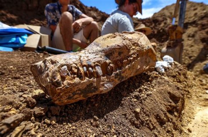 how do geologists know about the inside of the earth