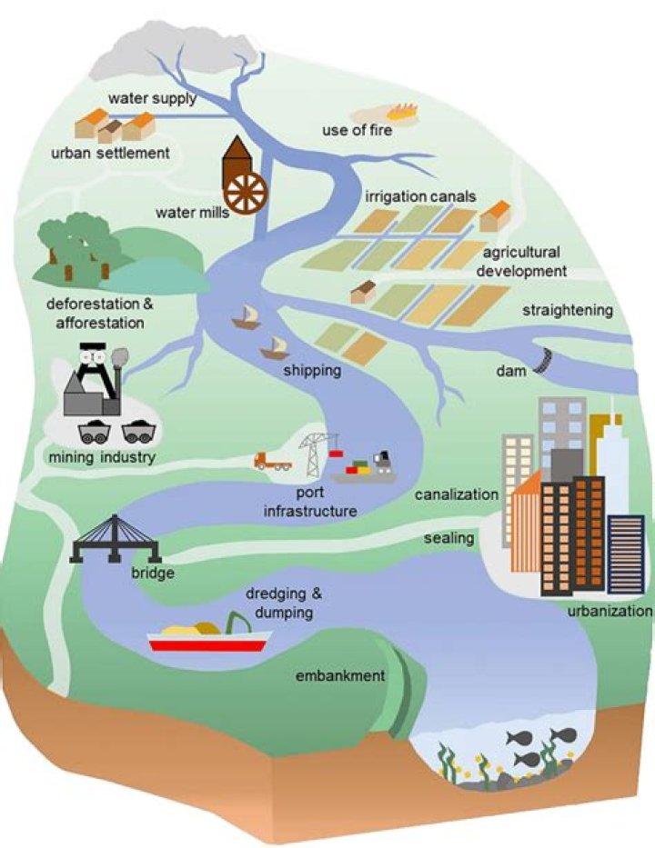 how do humans affect watersheds