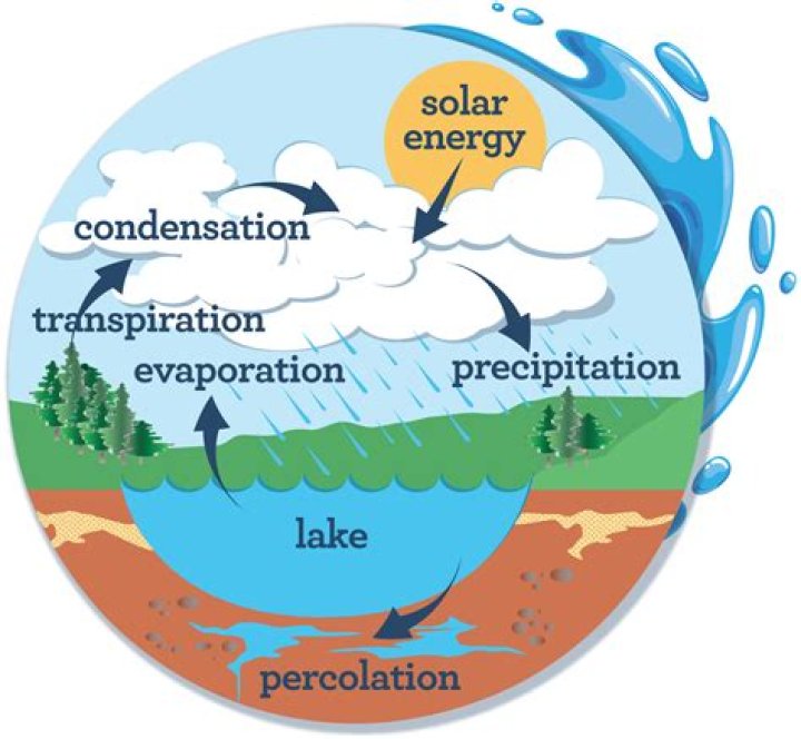 how do humans contribute to the water cycle