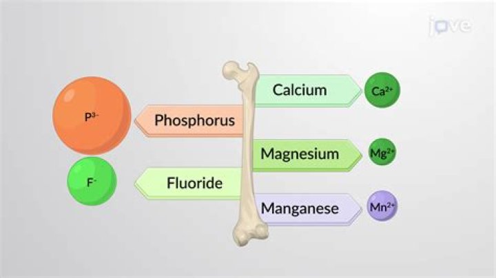 how do humans contribute to these excessive levels of phosphorus