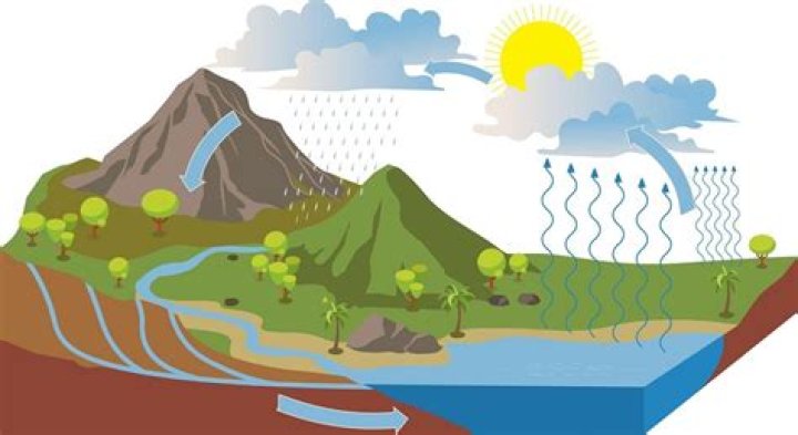 how do humans impact the hydrologic cycle