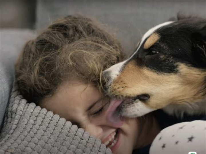 how do humans mate with dogs