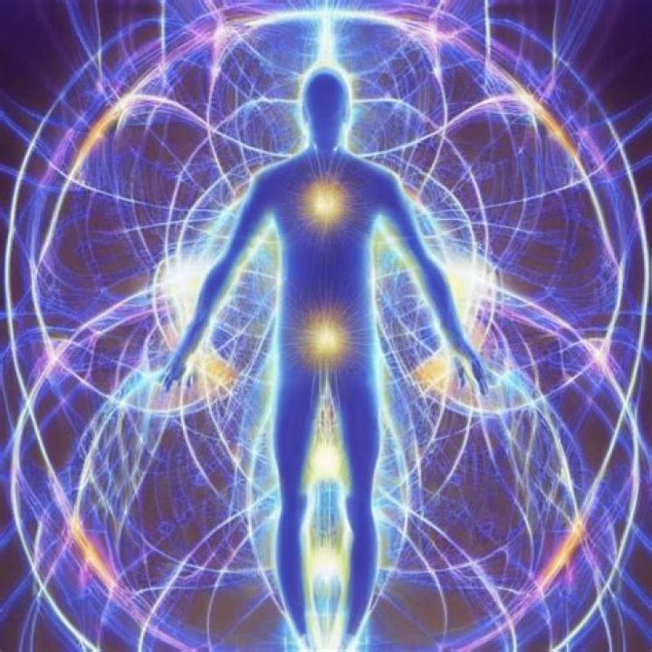 how do humans obtain energy