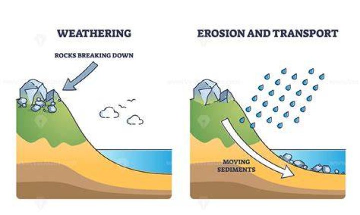 how do living things impact weathering and erosion