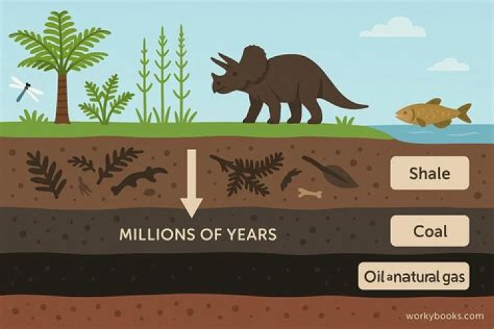 how do living things turn into fossil fuels