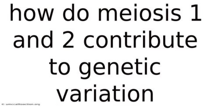 how do meiosis 1 and 2 contribute to genetic variation