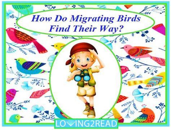 How Do Migrating Birds Find Their Way?