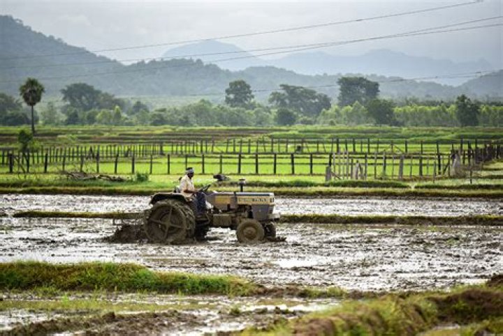 how do monsoons affect the farmers