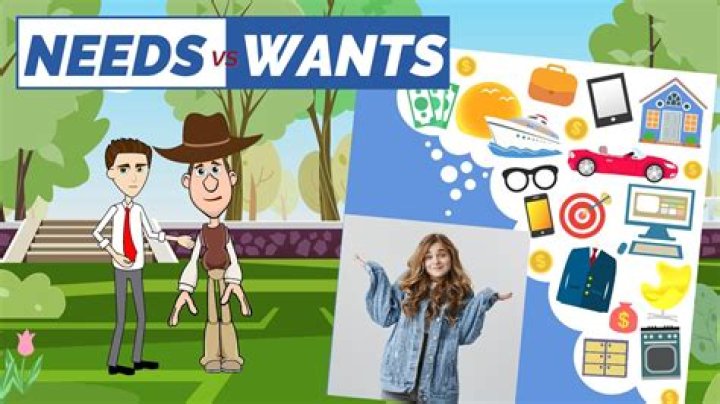 how do people satisfy their wants and needs