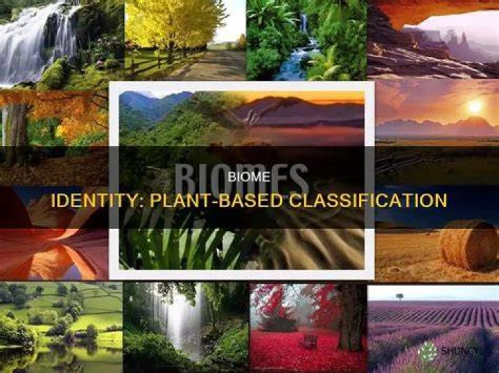 how do plants determine the name of a biome
