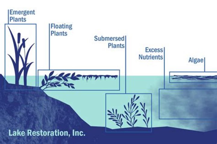 how do ponds and lakes form