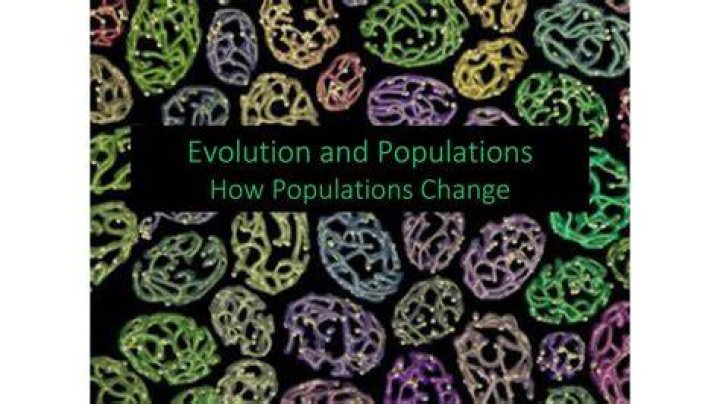 how do populations change - Lisbd-net.com