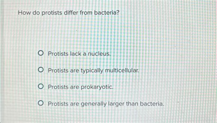 how do protists differ from bacteria