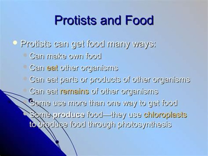 how do protists get nutrition