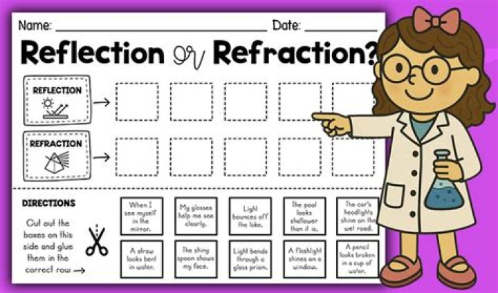 how do reflection and refraction allow animals to see
