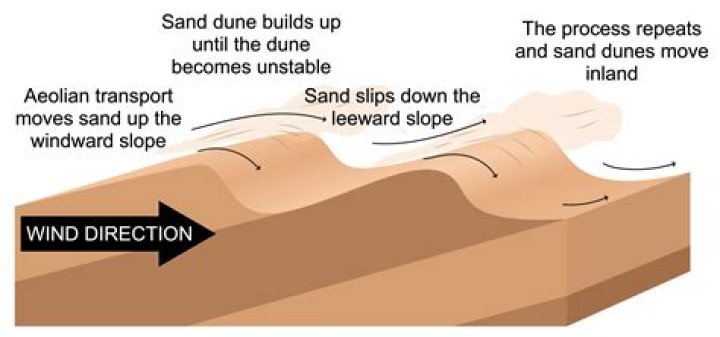 how do sand dunes migrate?