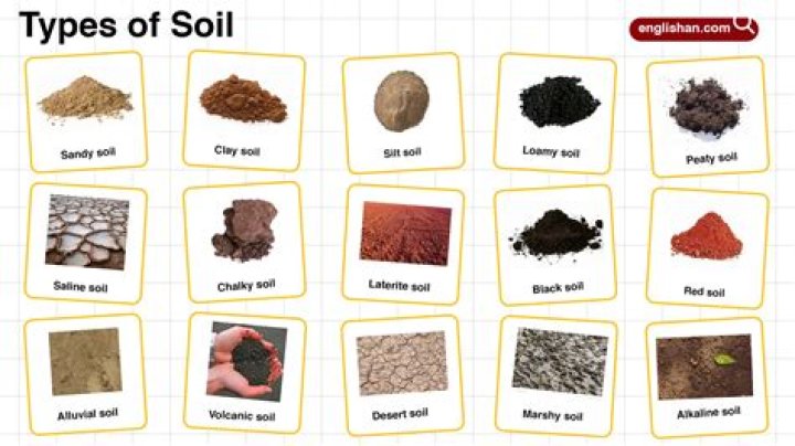 how do scientists classify types, or grades, of soil?