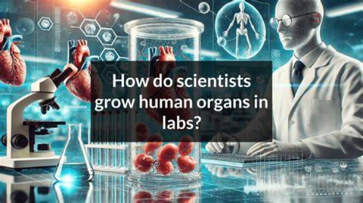 how do scientists figure out what gene controls a trait