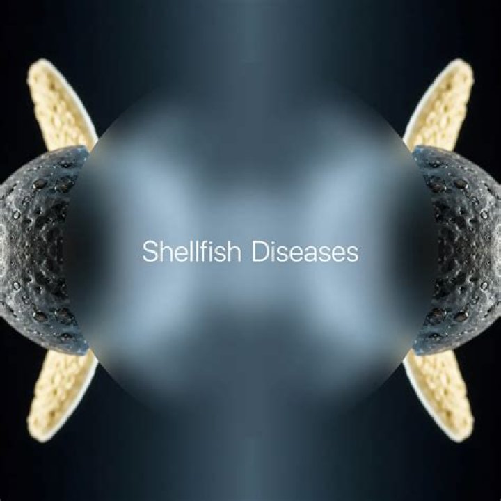 how do shellfish reproduce - Lisbd-net.com