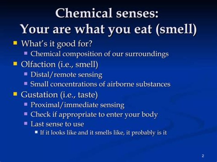 how do the chemical senses operate