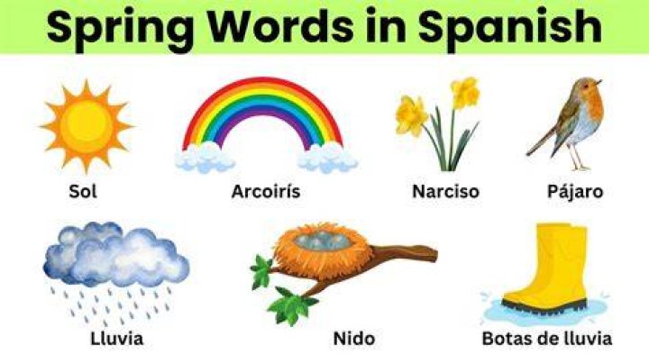 how do u say spring in spanish