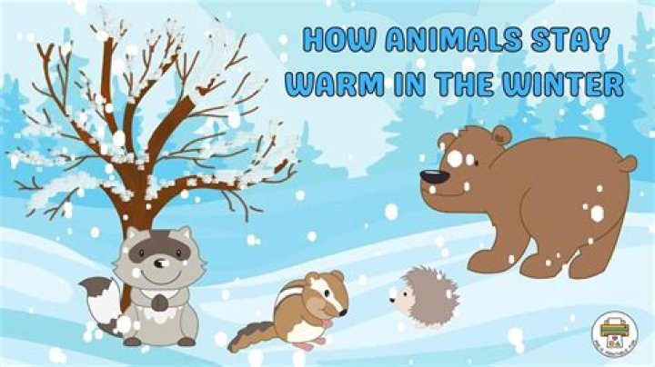 how do wild animals stay warm in the winter