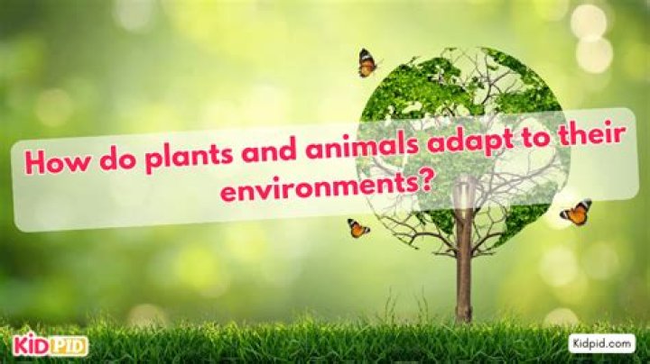 how do you adapt to your environment