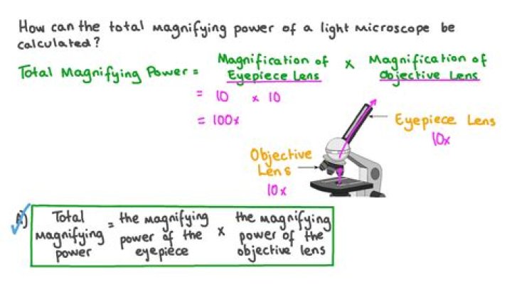 how do you find the total magnification of a microscope