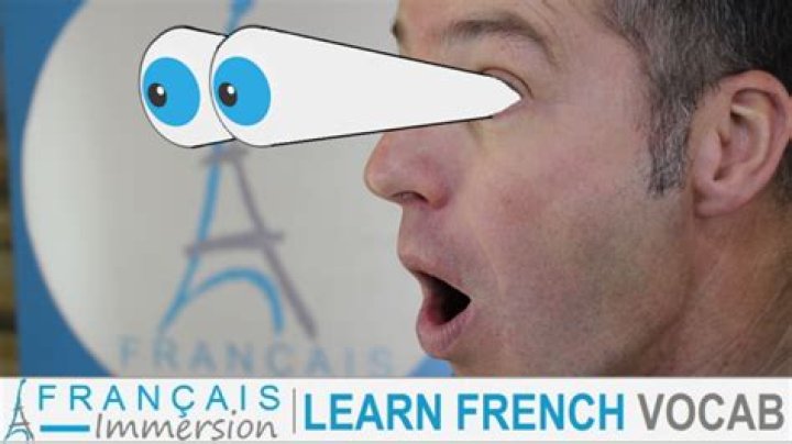 how do you say fat in french