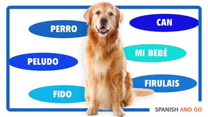 how do you say take for granted in spanish