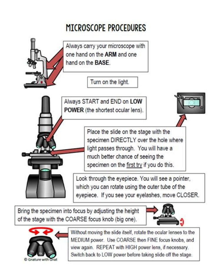 how do you use a microscope