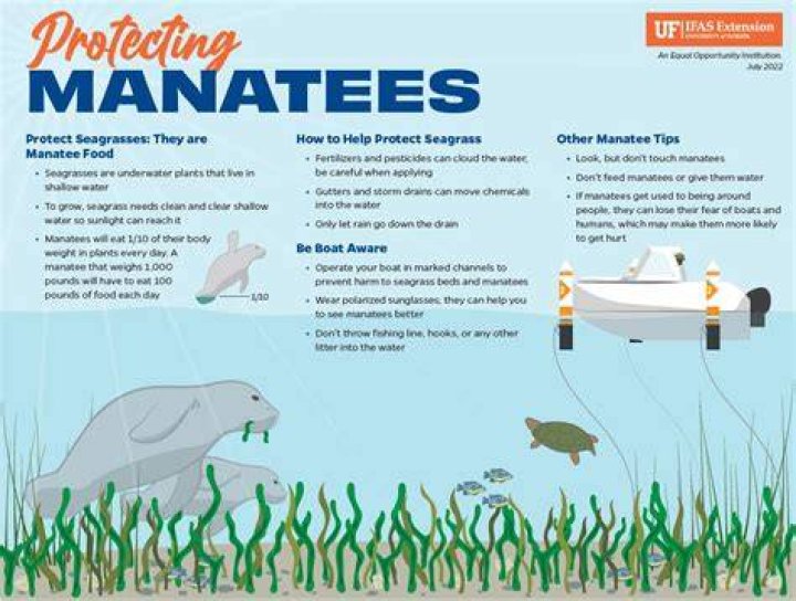 how does a manatee protect itself
