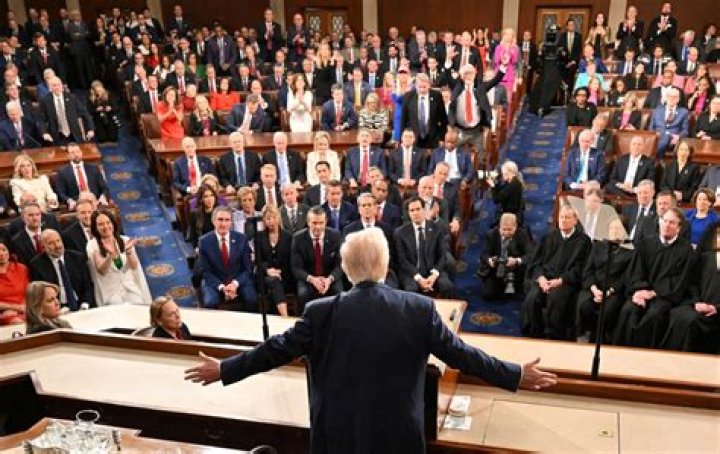 how does a member of congress act as a delegate