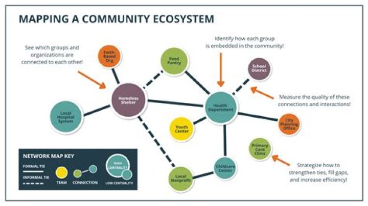how does an ecosystem differ from a community