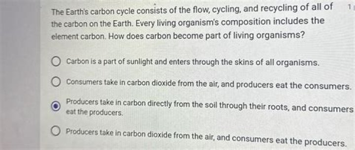 how does carbon become part of living organisms