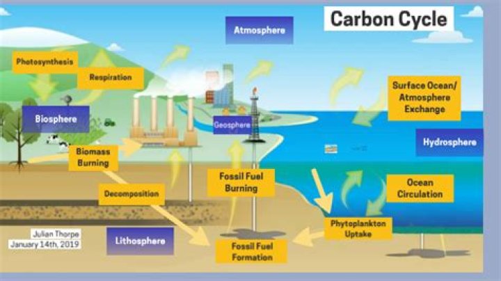 how does carbon leave the hydrosphere