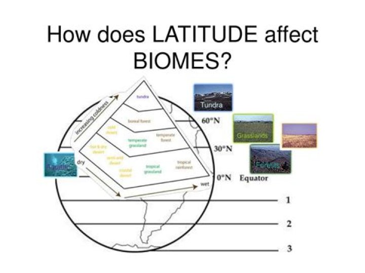 how does climate influence biomes