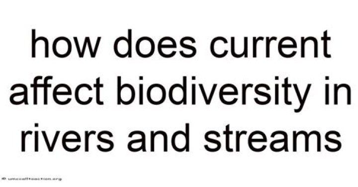 how does current affect biodiversity in rivers and streams?