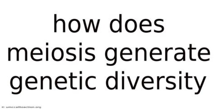 how does meiosis generate genetic diversity