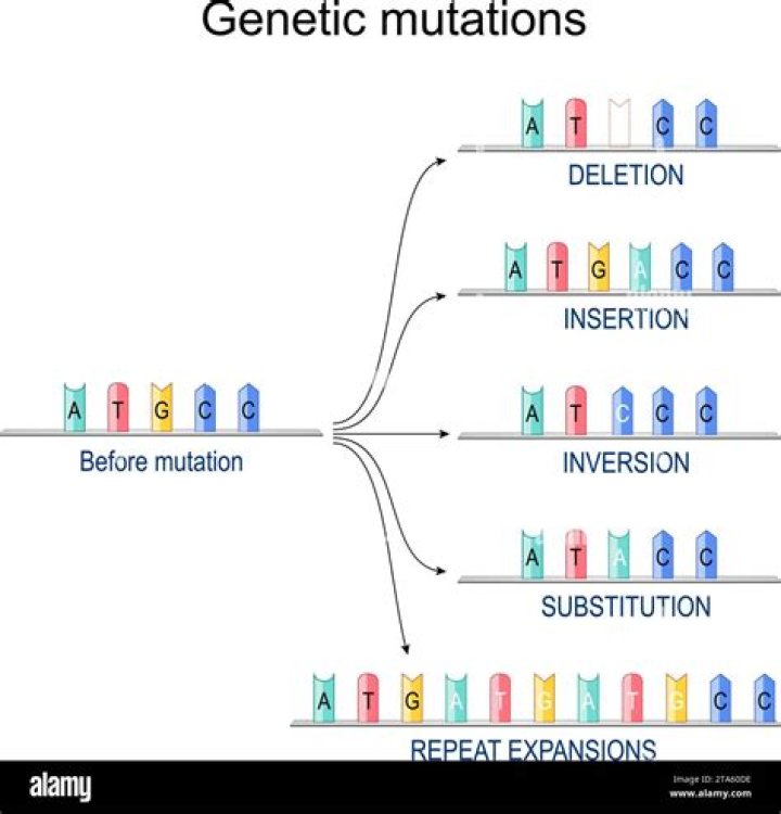 how does meiosis introduce genetic variation into offspring