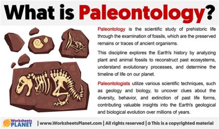 how does paleontology support evolution