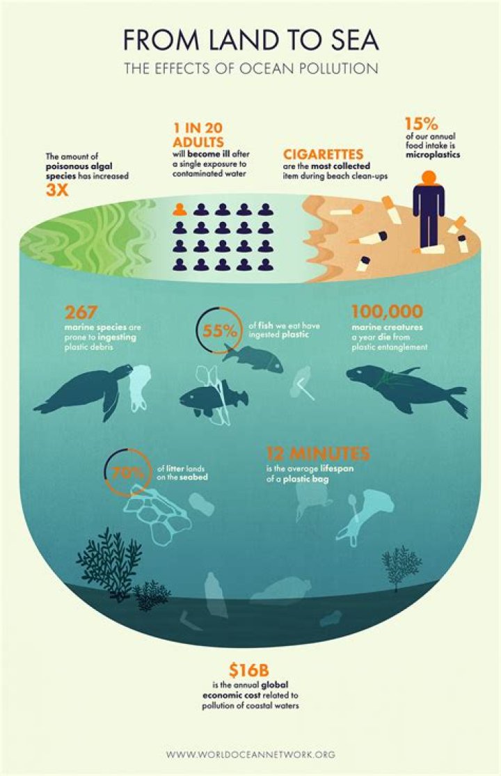 how does pollution affect marine life quizlet