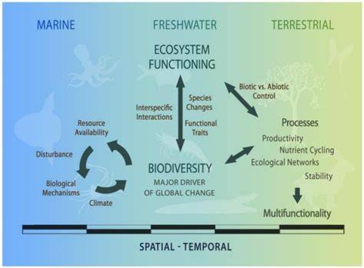 how does resource availability affect the stability of a society?
