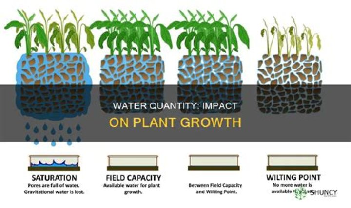 how does sand affect plant growth