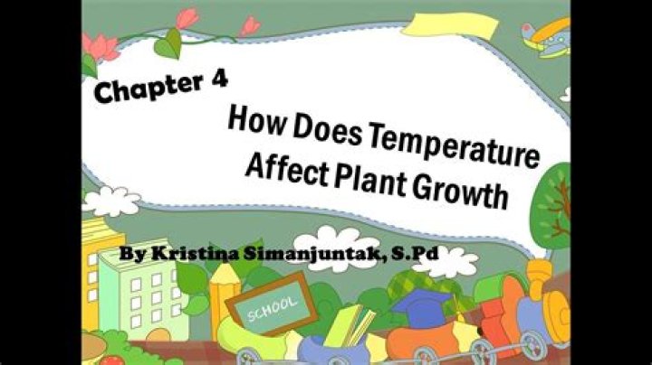 how does temperature affect plants